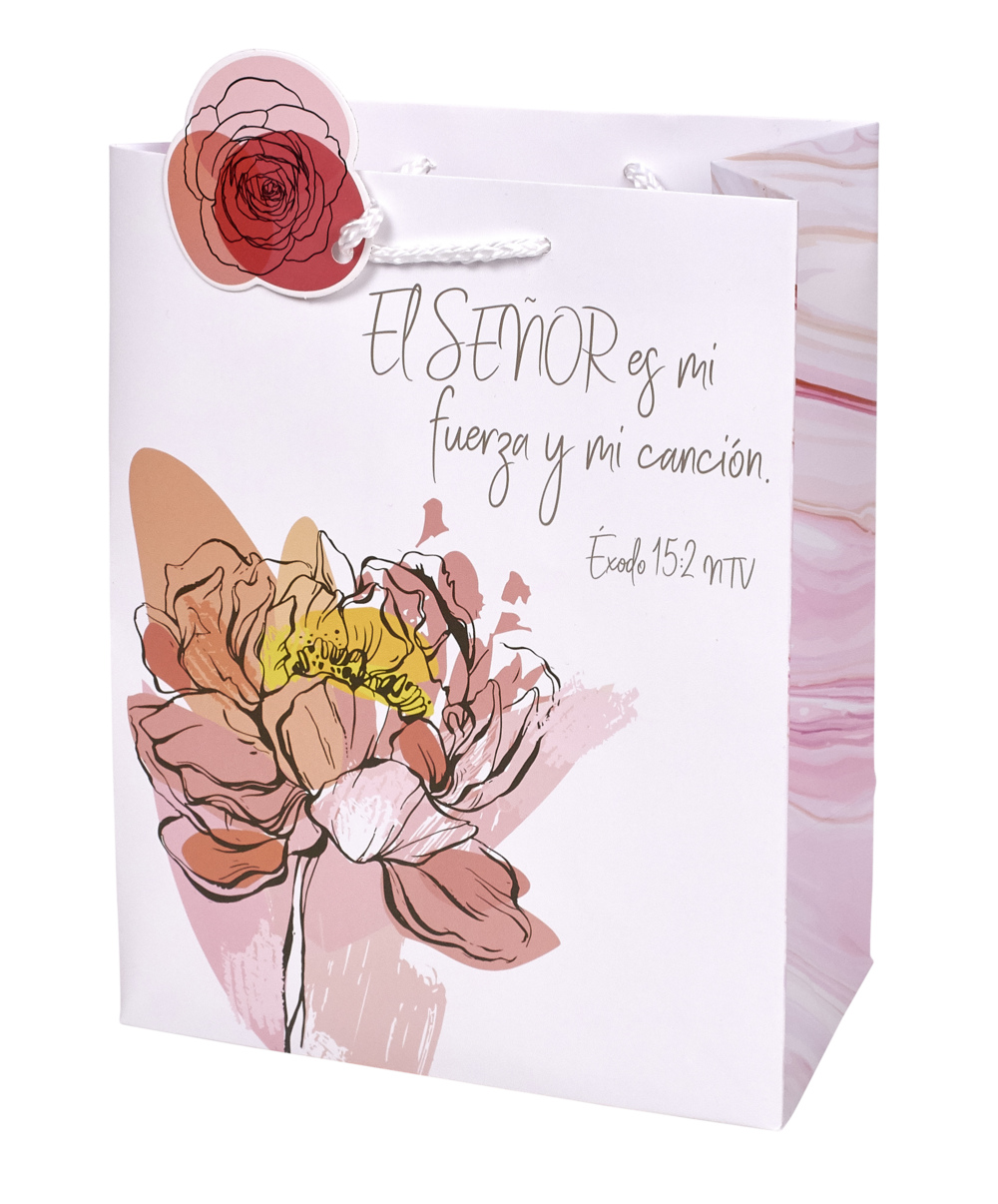 Spanish Strong in the Lord laminated gift bag with matching tag and cord handle