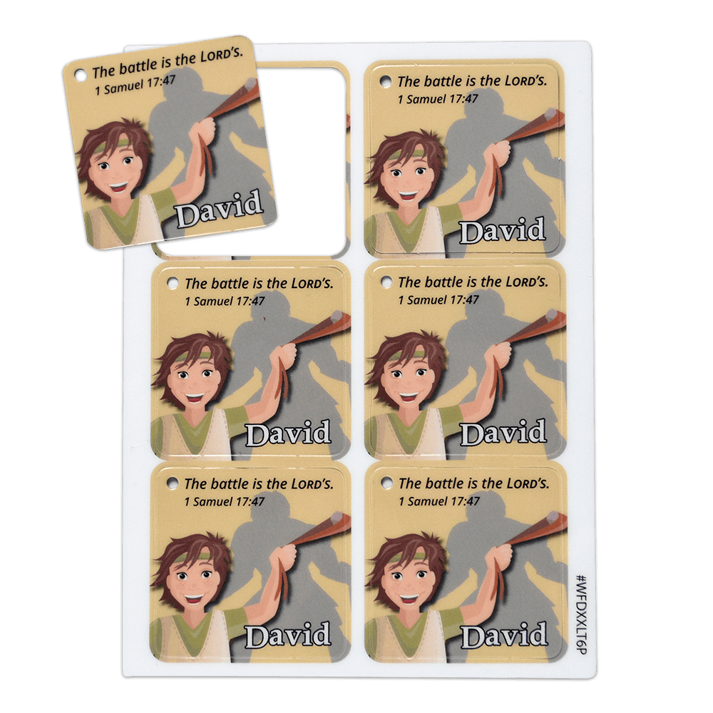 Collectible Tag of David & Goliath - Warriors of Faith